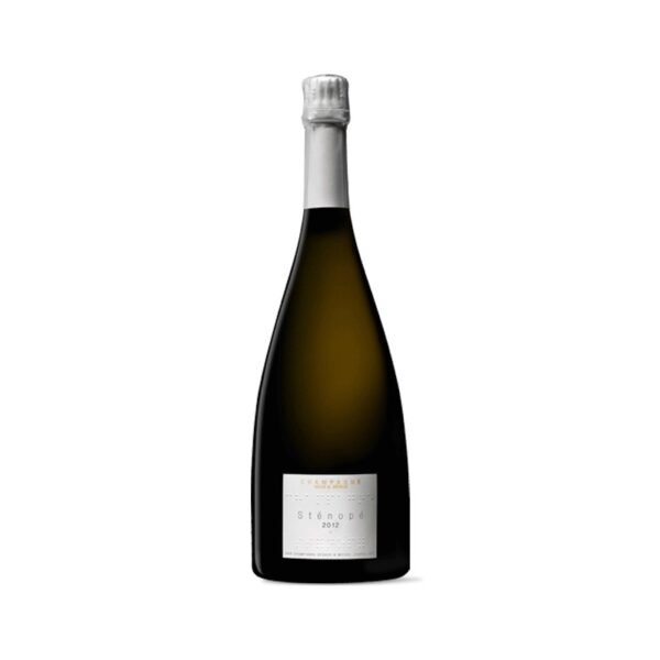Sténopé Magnum 2012